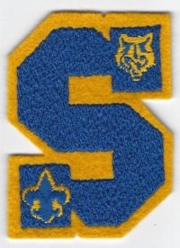 Cub Scout Sports Letter