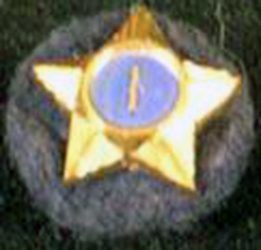 Service Star Pin 1 Year w/Felt Dark Blue Backing