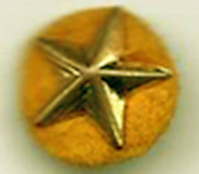 Service Star Pin w/Felt Gold Backing