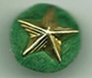 Service Star Pin w/Felt Green Backing