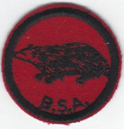 Badger Patrol Patch