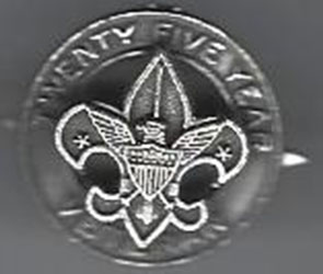 Veteran Pin 25 Year