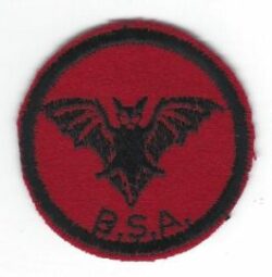 Bat Patrol Patch