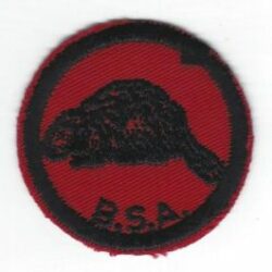 Beaver Patrol Patch