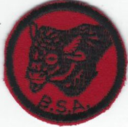 Buffalo Patrol Patch