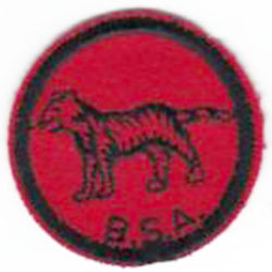 Cat Patrol Patch