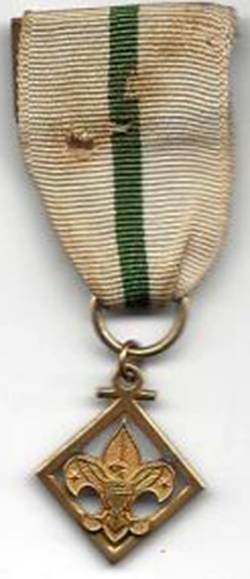 Den Leader Training Award
