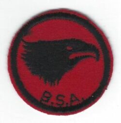 Eagle Patrol Patch