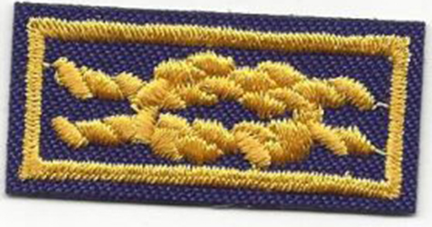 Knot Community Organization Service Award