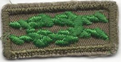 Knot Scouters Training Award