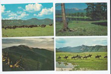 Philmomt Postcard 1980 set of 4