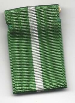 Scouter's Training Ribbon