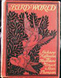 “Bird World” 1st Edition