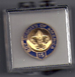 Veteran Pin 15 Year