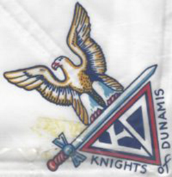 Knights of Dunamis Eagle Neckerchief