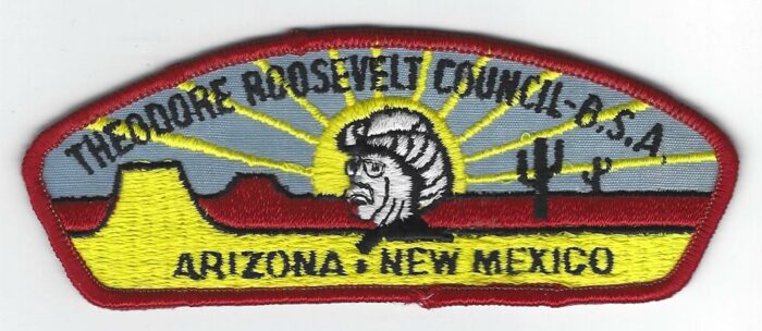 Theodore Roosevelt Council T3 Plastic Gauze