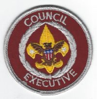 Council Executive SE7