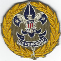 Deputy Scout Commissioner DSC5