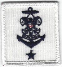 Sea Scout Ships Mate-Skipper Asst.