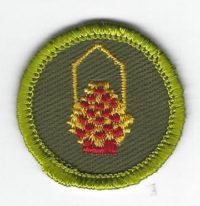 Basketry Merit Badge