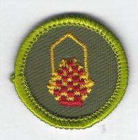 Basketry Merit Badge