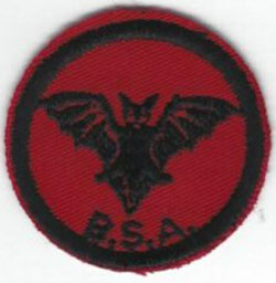 Bat Patrol Patch