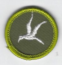 Bird Study Merit Badge