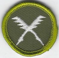 Business Merit Badge