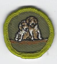 Dog Care Merit Badge