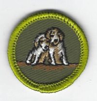 Dog Care Merit Badge