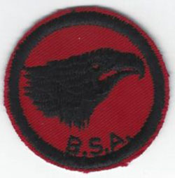 Eagle Patrol Patch