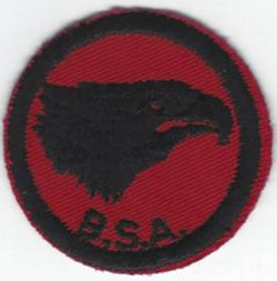 Eagle Patrol Patch