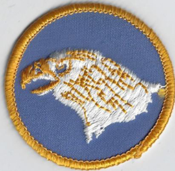 Eagle Patrol Patch Type 06 P