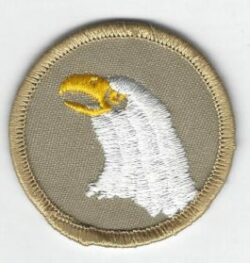 Eagle Patrol Patch