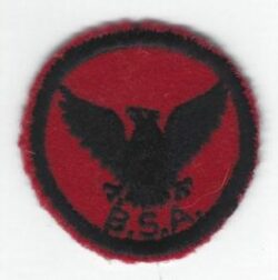 Flying Eagle Patrol Patch