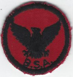 Flying Eagle Patrol Patch