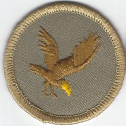 Flying Eagle Patrol