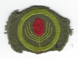 Forestry Merit Badge