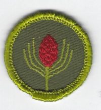 Forestry Merit Badge