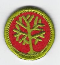 Genealogy Merit Badge