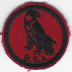 Hawk Patrol Patch