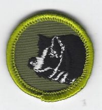 Hog Production Merit Badge