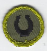 Horsemanship Merit Badge