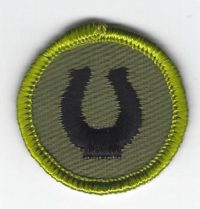Horsemanship Merit Badge