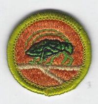 Insect Study Merit Badge