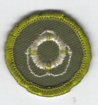 Lifesaving Merit Badge