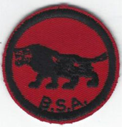 Lion Patrol Patch