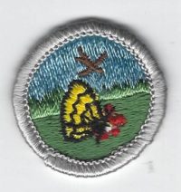 Nature Merit Badge