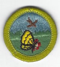 Nature Merit Badge