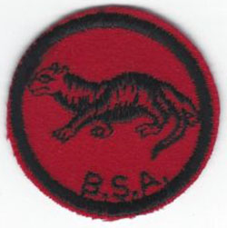 Otter Patrol Patch